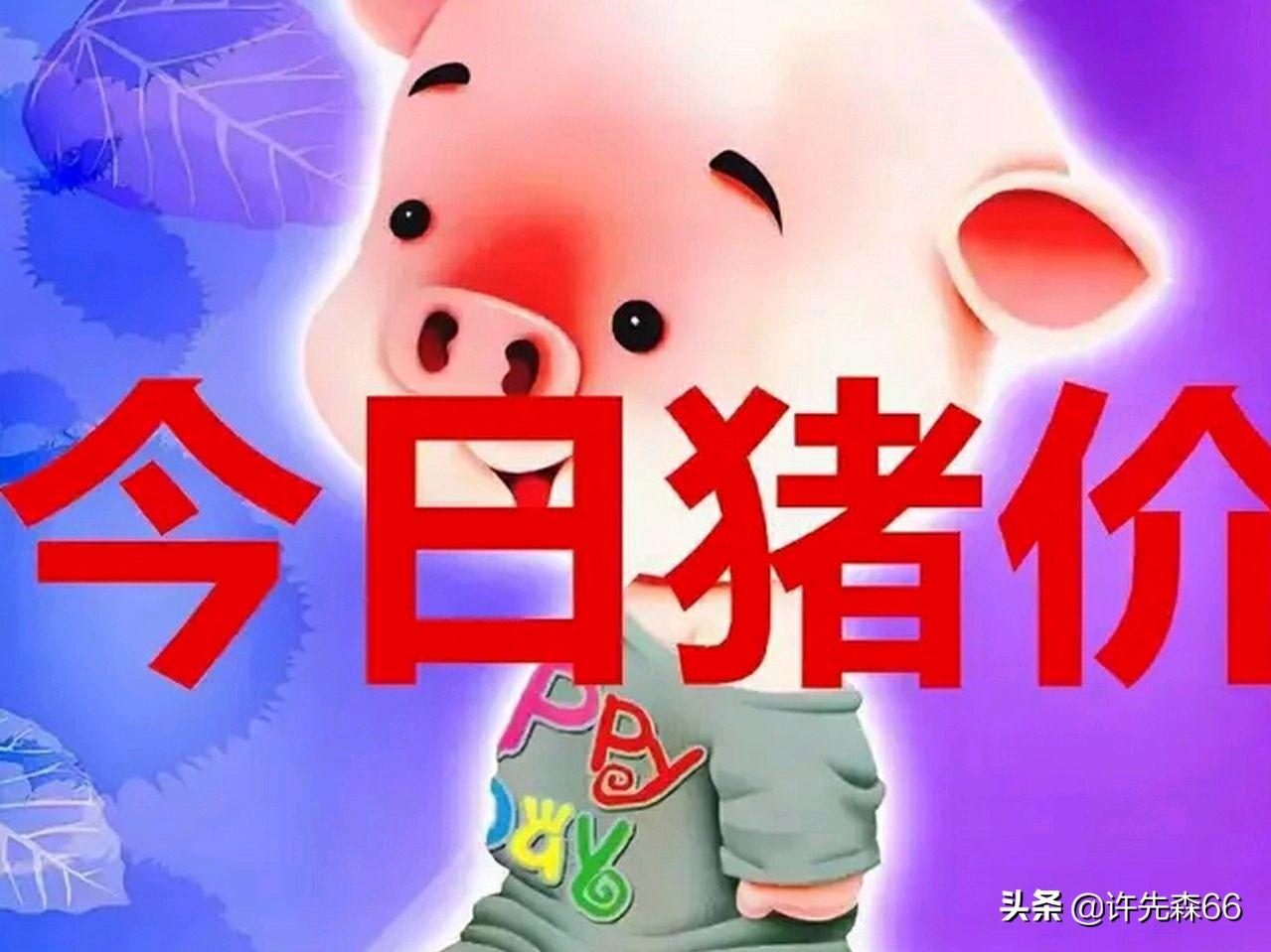 娱乐生活 第237页