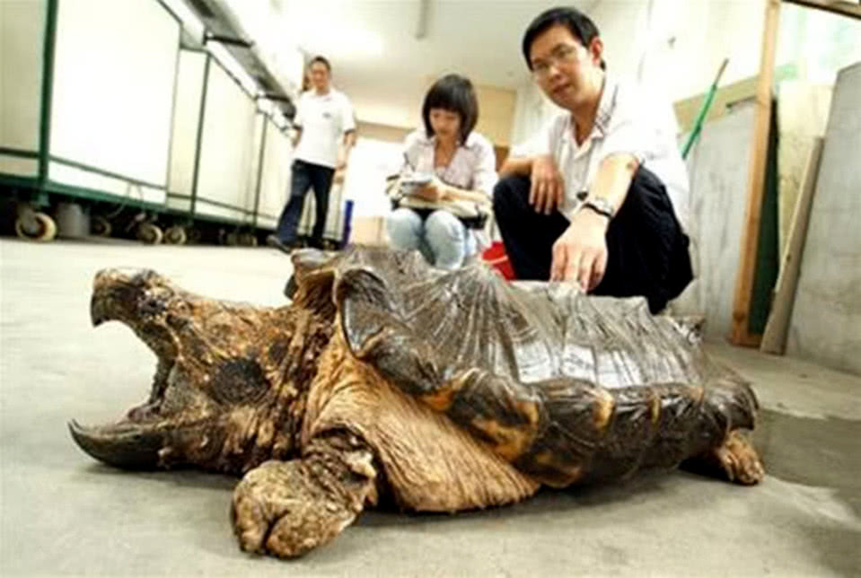 地方新闻 第223页