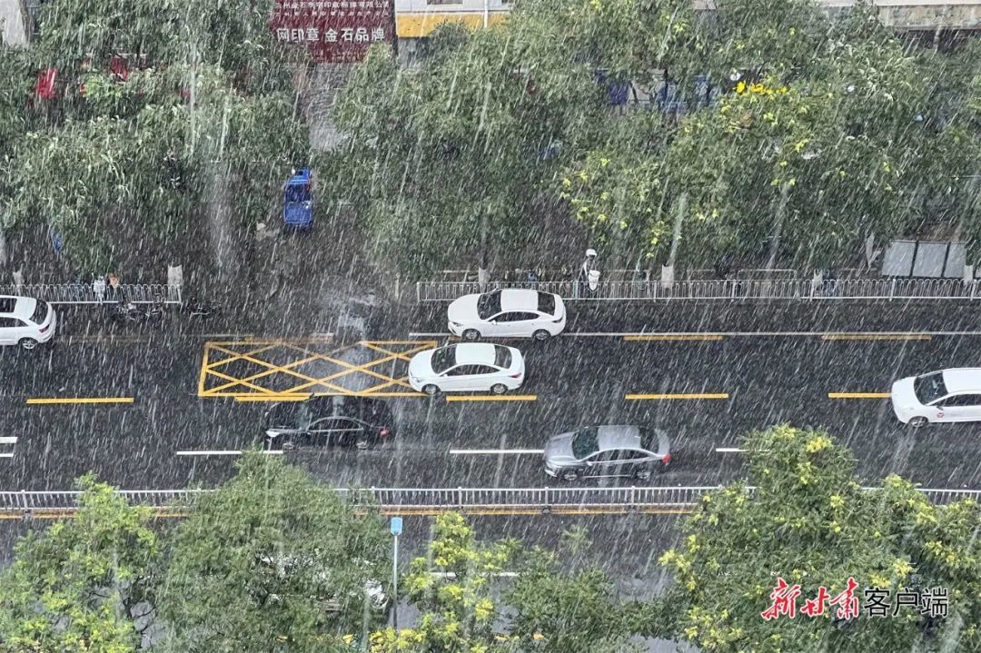 娱乐生活 第229页