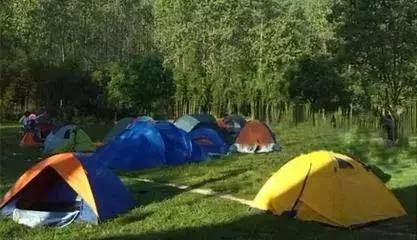 游戏专题 第227页
