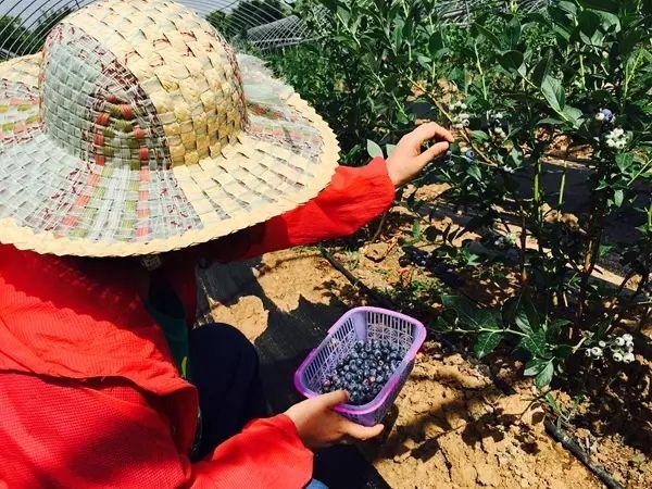 娱乐生活 第201页