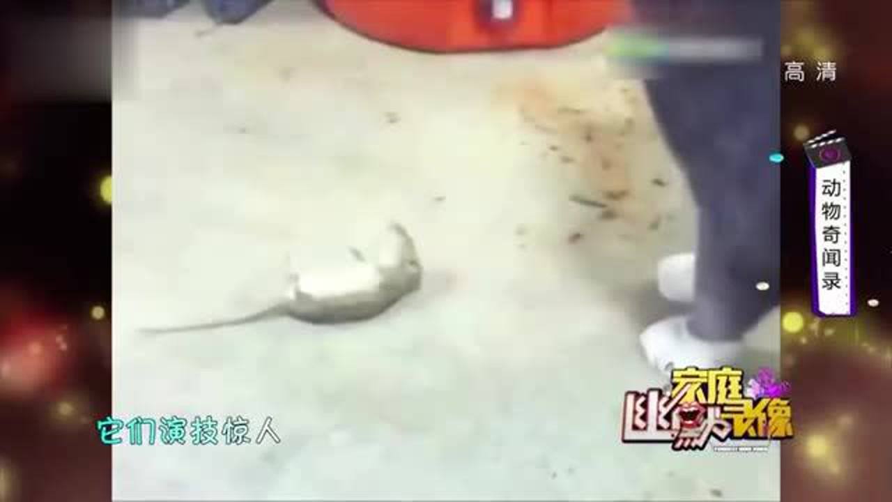热点生活 第61页