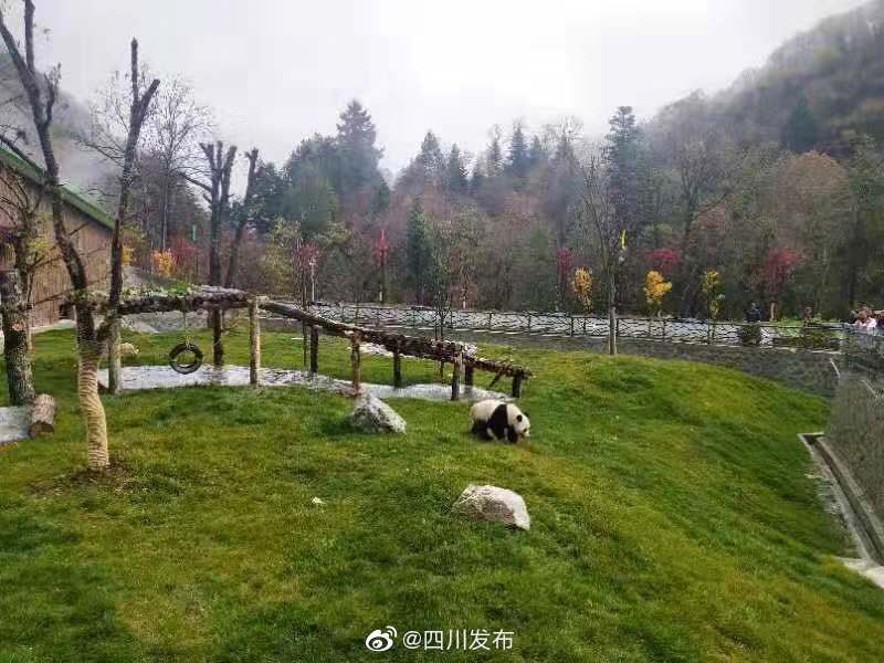 最新资讯 第46页