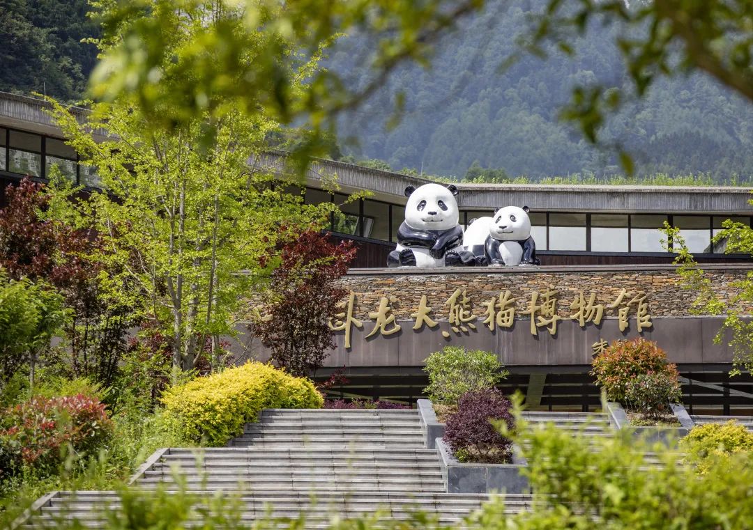 最新资讯 第52页